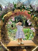 <h4>'IMG_20250621_114448.jpg' 1500 x 2000 | HUAWEI P60 | 2025-06-21 11:44:48</h4>