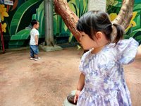 <h4>'IMG_20250621_114725.jpg' 2000 x 1500 | HUAWEI P60 | 2025-06-21 11:47:25</h4>