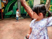 <h4>'IMG_20250621_114726.jpg' 2000 x 1500 | HUAWEI P60 | 2025-06-21 11:47:26</h4>