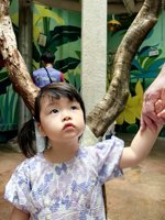 <h4>'IMG_20250621_114730.jpg' 1500 x 2000 | HUAWEI P60 | 2025-06-21 11:47:30</h4>