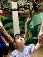 <h4>'IMG_20250621_114734.jpg' 1500 x 2000 | HUAWEI P60 | 2025-06-21 11:47:34</h4>