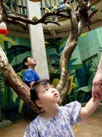 <h4>'IMG_20250621_114736.jpg' 1500 x 2000 | HUAWEI P60 | 2025-06-21 11:47:36</h4>