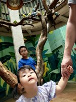 <h4>'IMG_20250621_114737.jpg' 1500 x 2000 | HUAWEI P60 | 2025-06-21 11:47:37</h4>