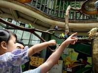 <h4>'IMG_20250621_114823.jpg' 2000 x 1500 | HUAWEI P60 | 2025-06-21 11:48:23</h4>