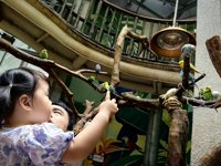 <h4>'IMG_20250621_114826.jpg' 2000 x 1500 | HUAWEI P60 | 2025-06-21 11:48:26</h4>