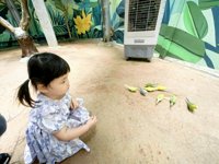 <h4>'IMG_20250621_114955.jpg' 2000 x 1500 | HUAWEI P60 | 2025-06-21 11:49:55</h4>