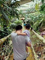 <h4>'IMG_20250621_115113.jpg' 1500 x 2000 | HUAWEI P60 | 2025-06-21 11:51:13</h4>