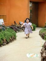 <h4>'IMG_20250621_115457.jpg' 1500 x 2000 | HUAWEI P60 | 2025-06-21 11:54:57</h4>