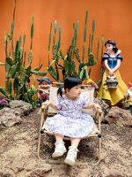 <h4>'IMG_20250621_115634.jpg' 1500 x 2000 | HUAWEI P60 | 2025-06-21 11:56:34</h4>