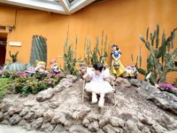 <h4>'IMG_20250621_115642.jpg' 2000 x 1500 | HUAWEI P60 | 2025-06-21 11:56:42</h4>