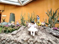 <h4>'IMG_20250621_115643.jpg' 2000 x 1500 | HUAWEI P60 | 2025-06-21 11:56:43</h4>