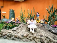 <h4>'IMG_20250621_115646.jpg' 2000 x 1500 | HUAWEI P60 | 2025-06-21 11:56:46</h4>