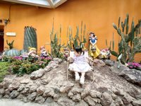 <h4>'IMG_20250621_115653.jpg' 2000 x 1500 | HUAWEI P60 | 2025-06-21 11:56:53</h4>