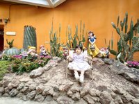 <h4>'IMG_20250621_115656.jpg' 2000 x 1500 | HUAWEI P60 | 2025-06-21 11:56:56</h4>