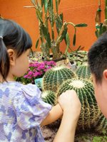 <h4>'IMG_20250621_115728.jpg' 1500 x 2000 | HUAWEI P60 | 2025-06-21 11:57:28</h4>