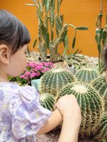 <h4>'IMG_20250621_115730.jpg' 1500 x 2000 | HUAWEI P60 | 2025-06-21 11:57:30</h4>