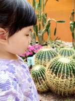 <h4>'IMG_20250621_115737.jpg' 1500 x 2000 | HUAWEI P60 | 2025-06-21 11:57:37</h4>