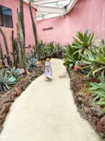 <h4>'IMG_20250621_115831.jpg' 1500 x 2000 | HUAWEI P60 | 2025-06-21 11:58:31</h4>