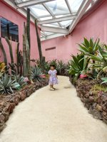 <h4>'IMG_20250621_115834.jpg' 1500 x 2000 | HUAWEI P60 | 2025-06-21 11:58:34</h4>