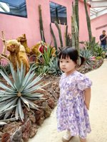 <h4>'IMG_20250621_115844.jpg' 1500 x 2000 | HUAWEI P60 | 2025-06-21 11:58:44</h4>