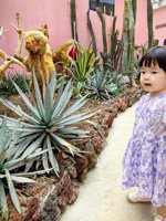 <h4>'IMG_20250621_115850.jpg' 1500 x 2000 | HUAWEI P60 | 2025-06-21 11:58:50</h4>