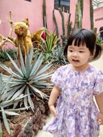 <h4>'IMG_20250621_115851.jpg' 1500 x 2000 | HUAWEI P60 | 2025-06-21 11:58:51</h4>