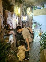 <h4>'IMG_20250621_120106.jpg' 1500 x 2000 | HUAWEI P60 | 2025-06-21 12:01:06</h4>