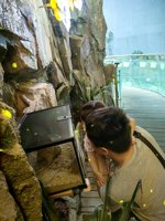 <h4>'IMG_20250621_120115.jpg' 1500 x 2000 | HUAWEI P60 | 2025-06-21 12:01:15</h4>