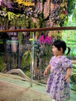 <h4>'IMG_20250621_120449.jpg' 1500 x 2000 | HUAWEI P60 | 2025-06-21 12:04:49</h4>