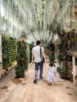 <h4>'IMG_20250621_120903.jpg' 1500 x 2000 | HUAWEI P60 | 2025-06-21 12:09:03</h4>