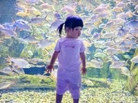 <h4>'IMG_20250628_105159.jpg' 2000 x 1500 | HUAWEI P60 | 2025-06-28 10:51:59</h4>