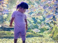 <h4>'IMG_20250628_105208.jpg' 2000 x 1500 | HUAWEI P60 | 2025-06-28 10:52:08</h4>