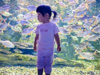 <h4>'IMG_20250628_105211.jpg' 2000 x 1500 | HUAWEI P60 | 2025-06-28 10:52:11</h4>