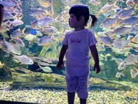 <h4>'IMG_20250628_105214.jpg' 2000 x 1500 | HUAWEI P60 | 2025-06-28 10:52:14</h4>