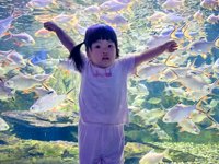 <h4>'IMG_20250628_105223.jpg' 2000 x 1500 | HUAWEI P60 | 2025-06-28 10:52:23</h4>