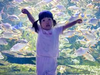 <h4>'IMG_20250628_105225.jpg' 2000 x 1500 | HUAWEI P60 | 2025-06-28 10:52:25</h4>