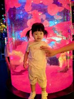 <h4>'IMG_20250628_105638.jpg' 1500 x 2000 | HUAWEI P60 | 2025-06-28 10:56:38</h4>