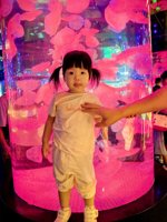 <h4>'IMG_20250628_105641.jpg' 1500 x 2000 | HUAWEI P60 | 2025-06-28 10:56:41</h4>