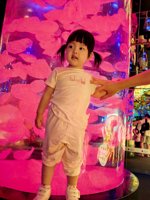 <h4>'IMG_20250628_105651.jpg' 1500 x 2000 | HUAWEI P60 | 2025-06-28 10:56:51</h4>