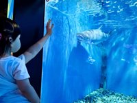 <h4>'IMG_20250628_105906.jpg' 2000 x 1500 | HUAWEI P60 | 2025-06-28 10:59:06</h4>