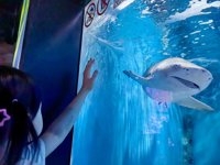 <h4>'IMG_20250628_105908.jpg' 2000 x 1500 | HUAWEI P60 | 2025-06-28 10:59:08</h4>