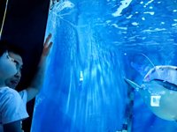 <h4>'IMG_20250628_105917.jpg' 2000 x 1500 | HUAWEI P60 | 2025-06-28 10:59:17</h4>