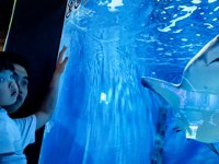 <h4>'IMG_20250628_105918.jpg' 2000 x 1500 | HUAWEI P60 | 2025-06-28 10:59:18</h4>