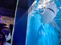 <h4>'IMG_20250628_105930.jpg' 2000 x 1500 | HUAWEI P60 | 2025-06-28 10:59:30</h4>