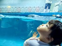 <h4>'IMG_20250628_110735.jpg' 2000 x 1500 | HUAWEI P60 | 2025-06-28 11:07:35</h4>