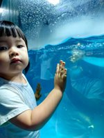 <h4>'IMG_20250628_110754.jpg' 1500 x 2000 | HUAWEI P60 | 2025-06-28 11:07:54</h4>