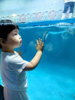 <h4>'IMG_20250628_110756.jpg' 1500 x 2000 | HUAWEI P60 | 2025-06-28 11:07:56</h4>