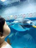 <h4>'IMG_20250628_110819.jpg' 1500 x 2000 | HUAWEI P60 | 2025-06-28 11:08:19</h4>