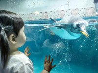 <h4>'IMG_20250628_110822.jpg' 2000 x 1500 | HUAWEI P60 | 2025-06-28 11:08:22</h4>