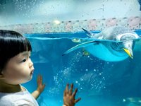 <h4>'IMG_20250628_110823.jpg' 2000 x 1500 | HUAWEI P60 | 2025-06-28 11:08:23</h4>